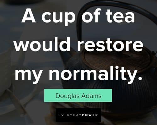 tea quotes about a cup of tea would restore my normality