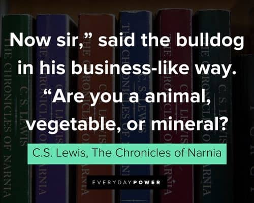 Funny The Chronicles of Narnia quotes
