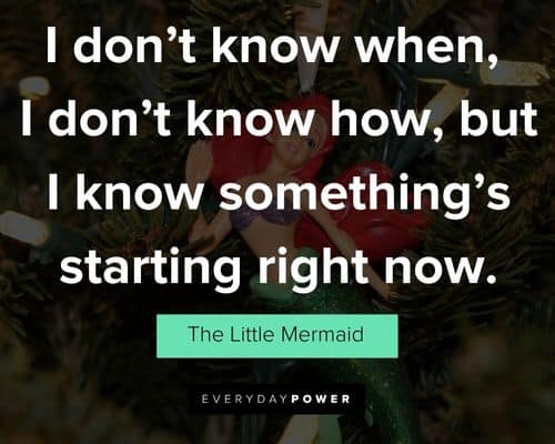 Relatable The Little Mermaid quotes