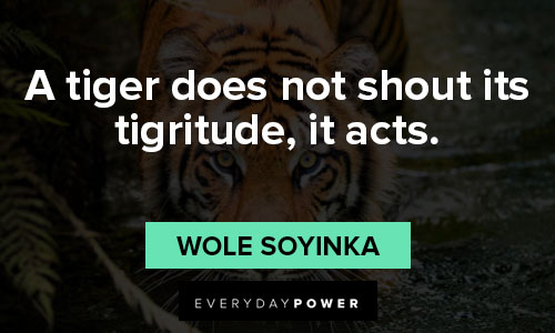 thought-provoking tiger quotes