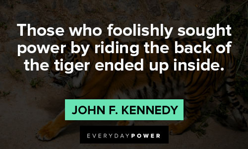 tiger quotes about foolishly