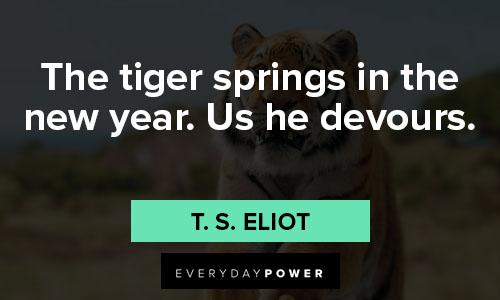 tiger quotes about the tiger springs in the new year