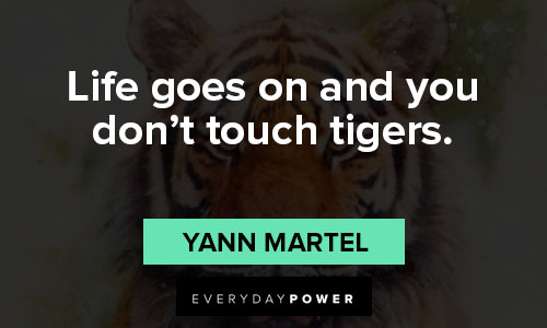 tiger quotes about life