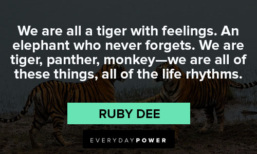 tiger quotes about feeling