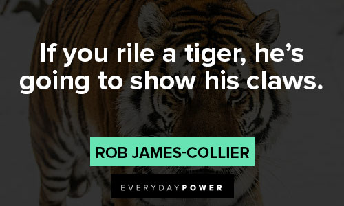 tiger quotes on if you rile a tiger, he's going to show his claws