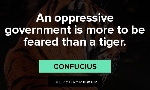 tiger quotes from confucius