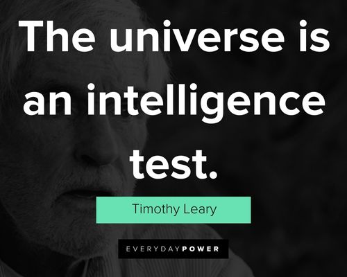 Timothy Leary quotes about the universe is an intelligence test