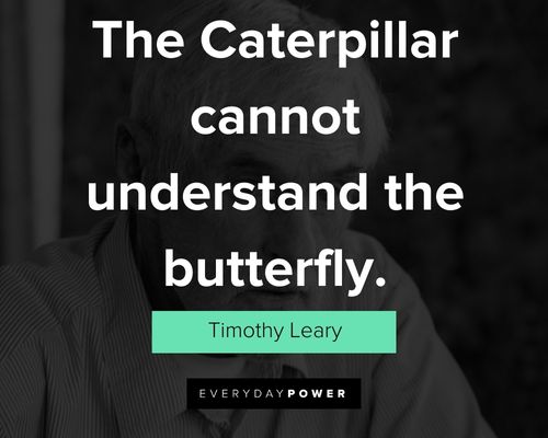 Timothy Leary quotes on the caterpillar cannot understand the butterfly