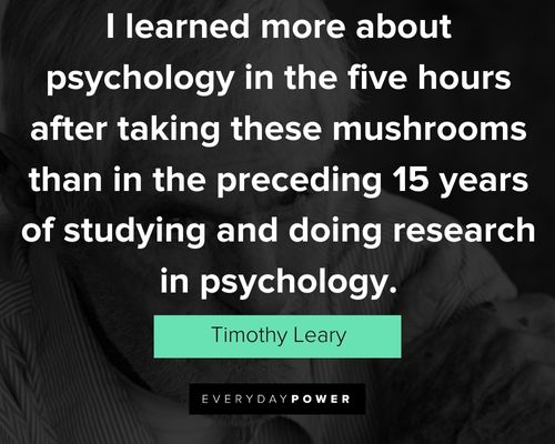 Wise Timothy Leary quotes