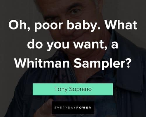 Short Tony Soprano quotes