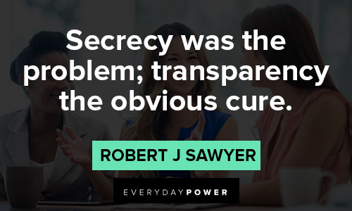 transparency quotes About problem