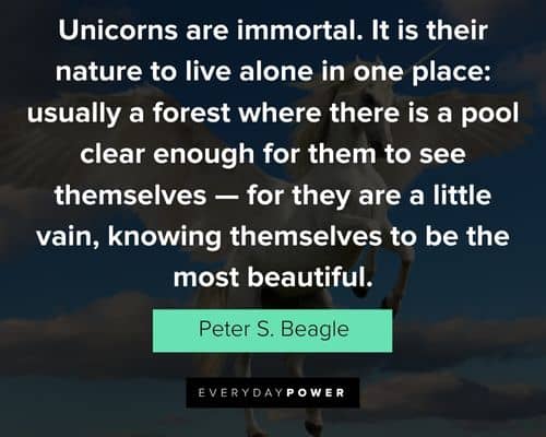 Amazing unicorn quotes