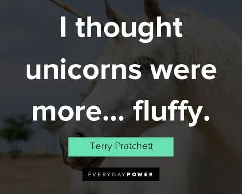 unicorn quotes about I thought unicorns were more… fluffy