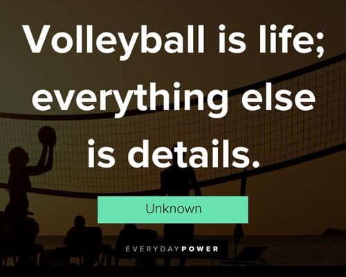 volleyball quotes about volleyball is life; everything else is details