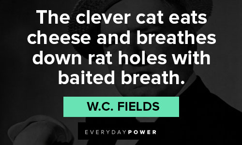 W.C. Fields quotes on clever cat