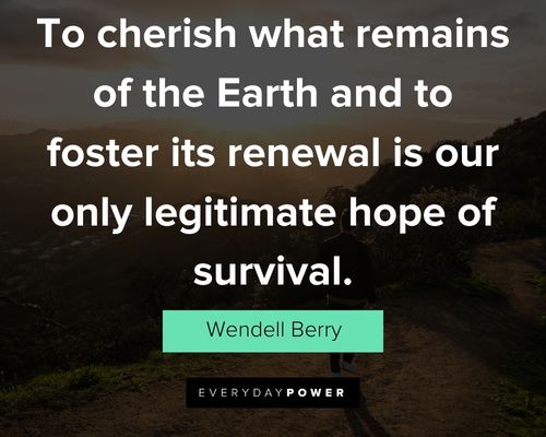 Wendell Berry quotes