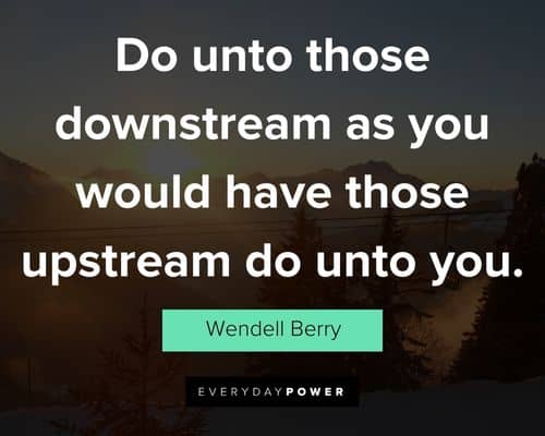Wendell Berry quotes