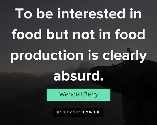 Wendell Berry quotes