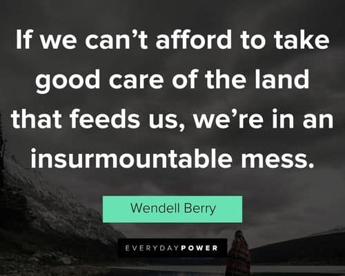 Wendell Berry quotes