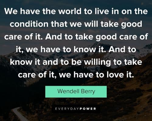 Wendell Berry quotes