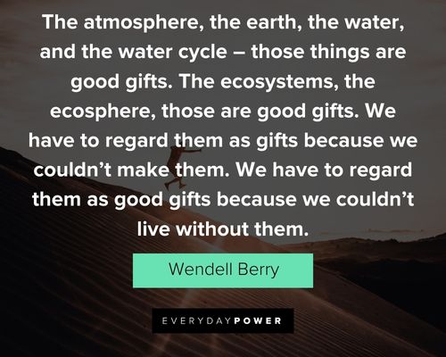 Wendell Berry quotes