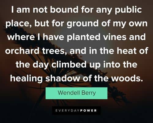 Wendell Berry quotes