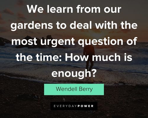 Wendell Berry quotes