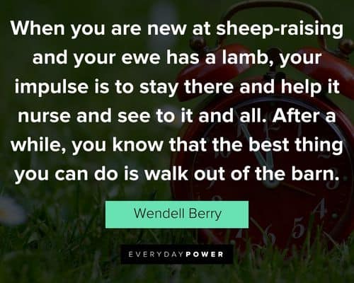 Wendell Berry quotes