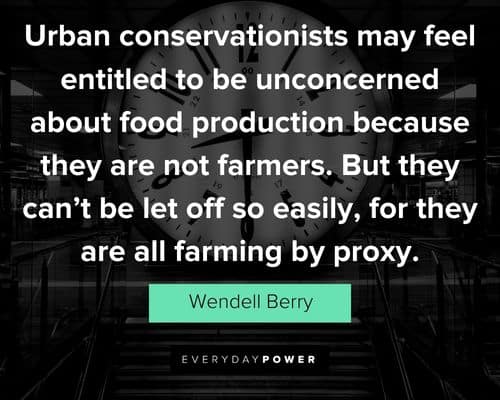 Wendell Berry quotes