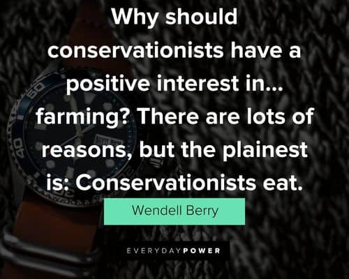 Wendell Berry quotes