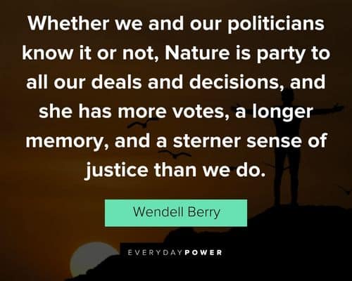 Wendell Berry quotes