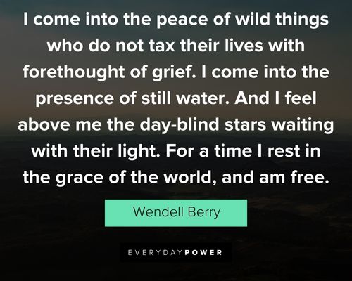 Wendell Berry quotes