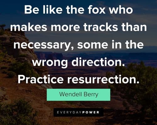 Wendell Berry quotes