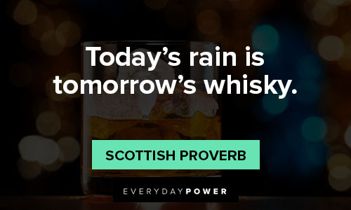 whiskey quotes about whiskey sayings and proverbs