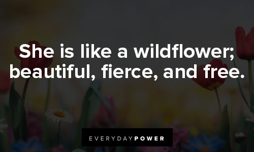 wildflower quotes on she is like a wildflower; beautiful, fierce, and free