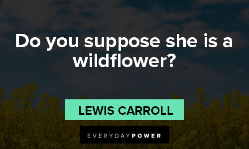 wildflower quotes on do you suppose she is a wildflower