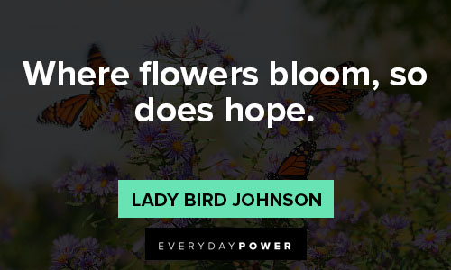 wildflower quotes about where flowers bloom, so does hope