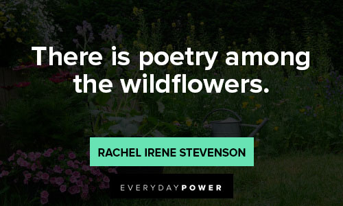 wildflower quotes about there is poetry among the wildflowers