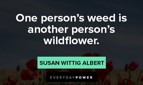 wildflower quotes on one person's weed is another person's wildflower