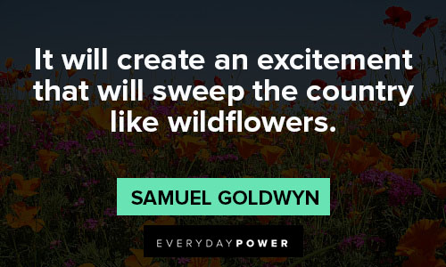 wildflower quotes and saying