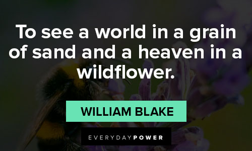 Thought provoking wildflower quotes