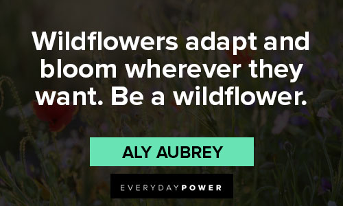 wildflower quotes about wildflowers adapt and bloom wherever they want. Be a wildflower