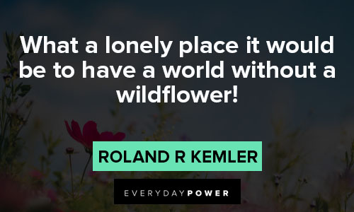 wildflower quotes on what a lonely place it would be to have a world without a wildflower