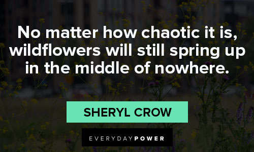 wildflower quotes from Sheryl Crow
