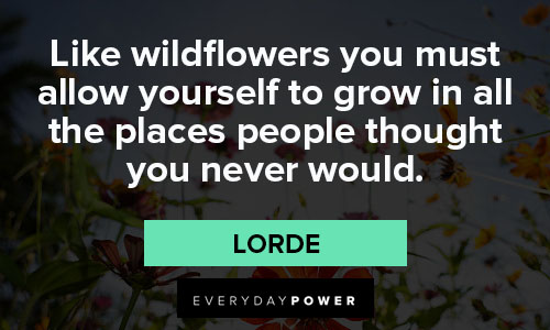 wildflower quotes from Lorde