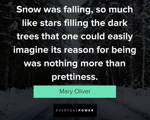 Winter Solstice quotes about winter things like snow