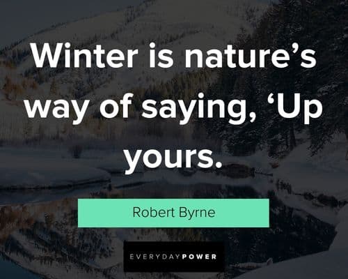 Funny Winter Solstice quotes