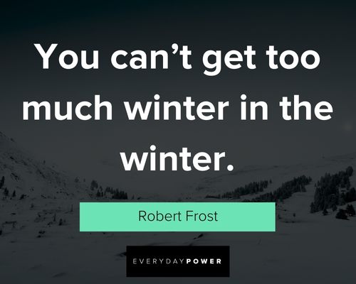 funny winter quotes and sayings