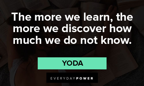 wise quotes on learn