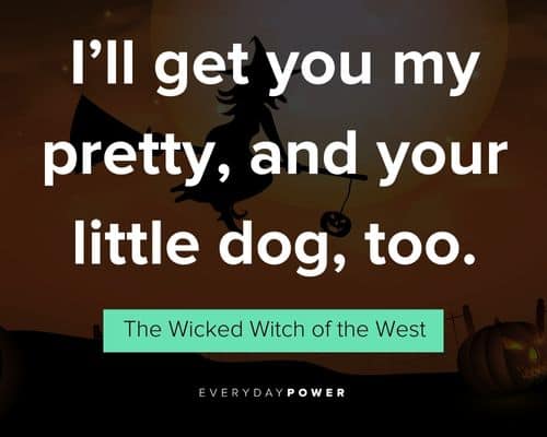 Special witch quotes